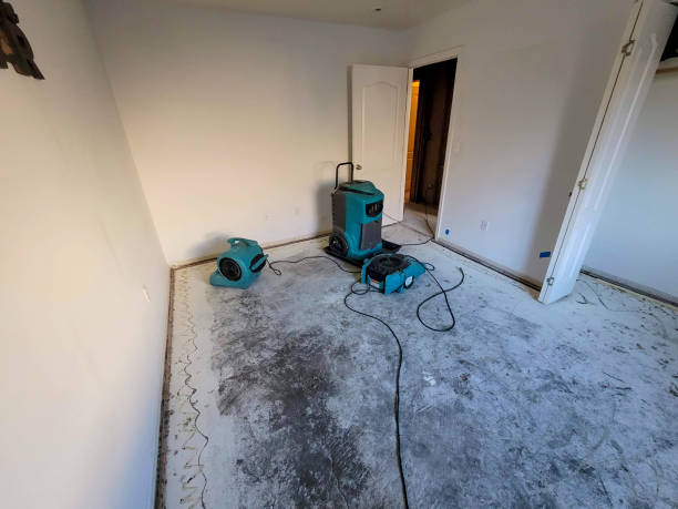 Best 24/7 water damage repair  in Gordon Heights, NY